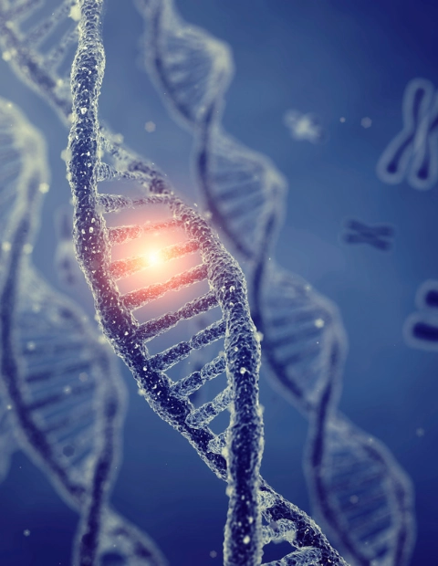 Familial Gynaecological Cancer Treatment in Kolkata | Expert Gynaec Oncologist Dr. Manas Chakrabarti | Dr Manas Chakrabarti | Gynae Oncology And Gynaecological Surgery In Kolkata