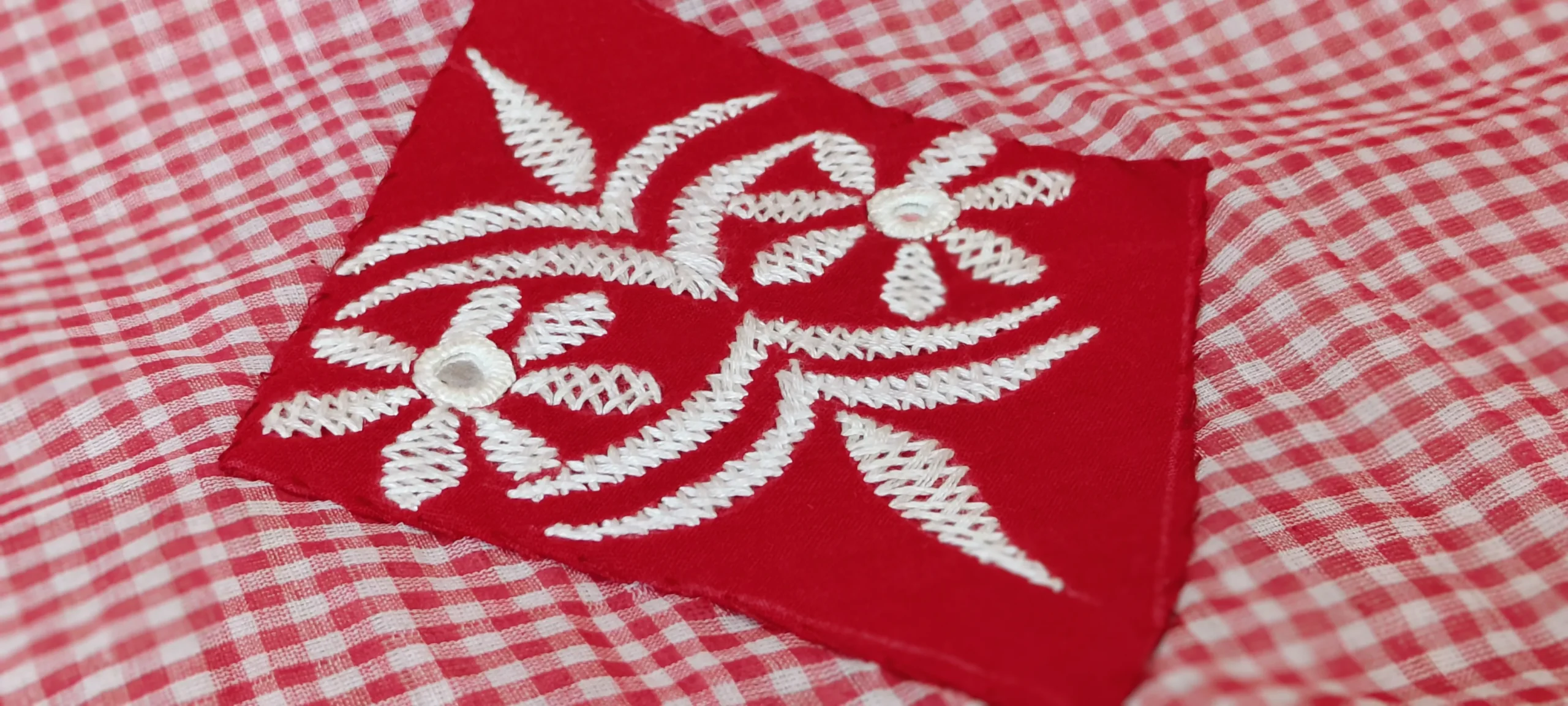 Soma Ganguly Inspirations 5 Dr Manas Chakrabarti | Gynae Oncology And Gynaecological Surgery In Kolkata Soma-Ganguly_6