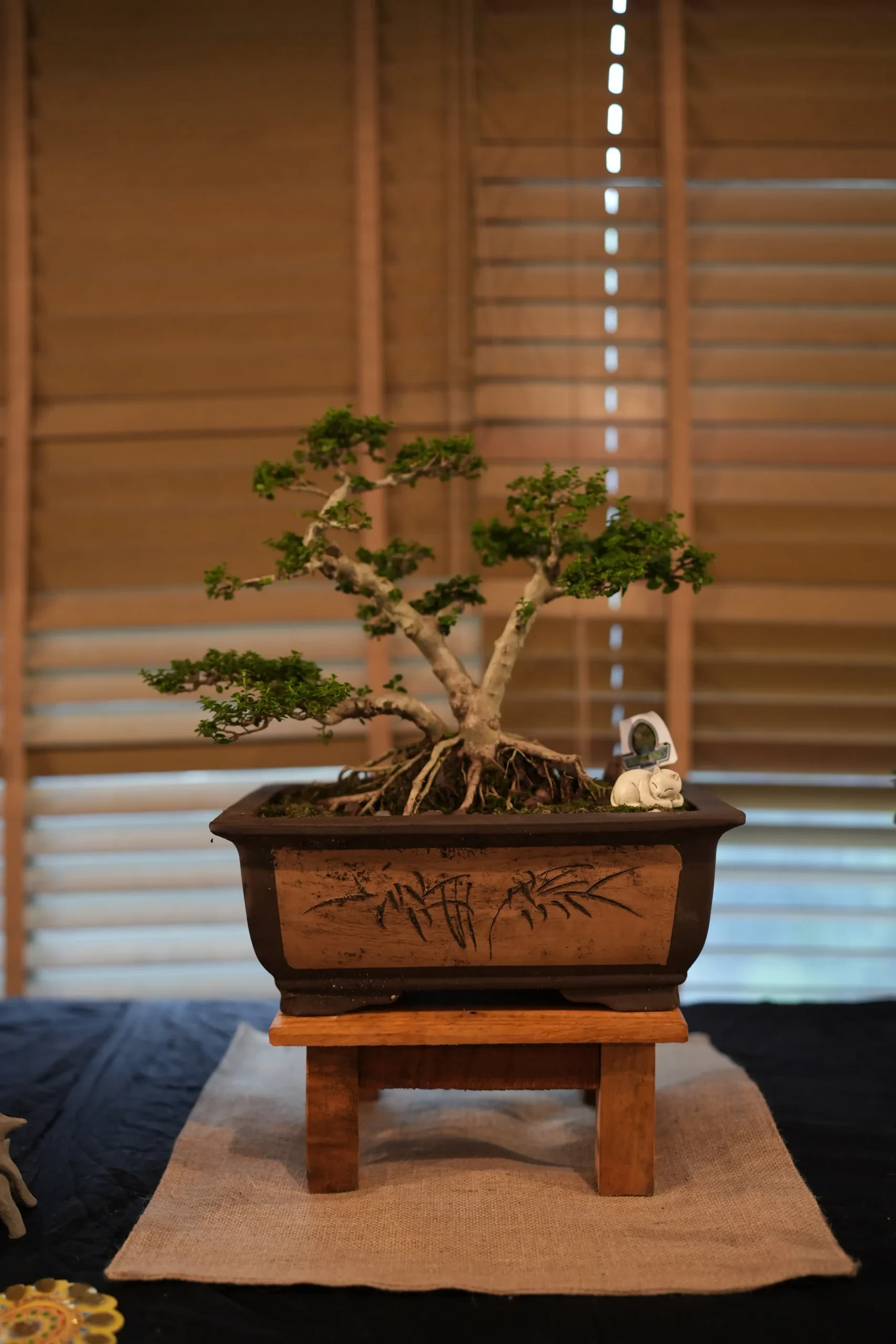 Alakananda-Mukherjee_1